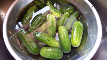 Wash the cucumbers in a stainless steel or large glass bowl.