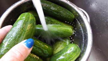Rinse the cukes...note that I am wearing Royal Blue nail polish....for the sports team....;)
