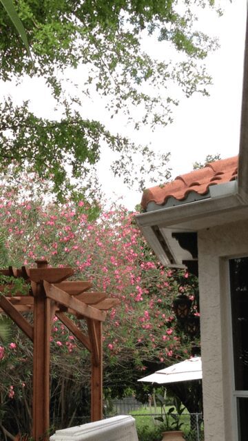 Garden view with flowers and pergola.
