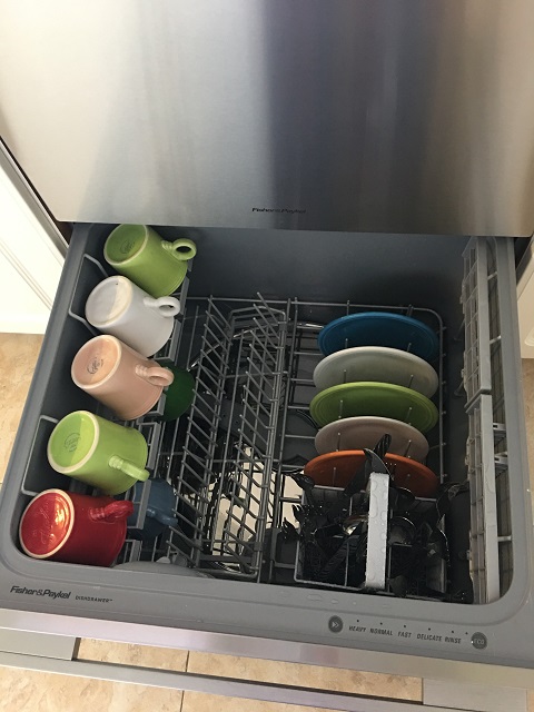 dishwasher5