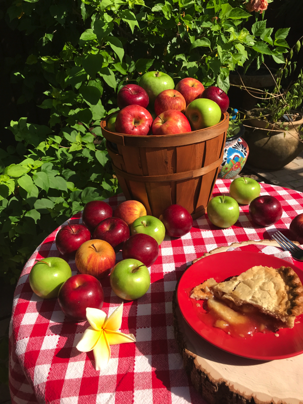apple orchards allow me to bake apple pies for putting on my table.