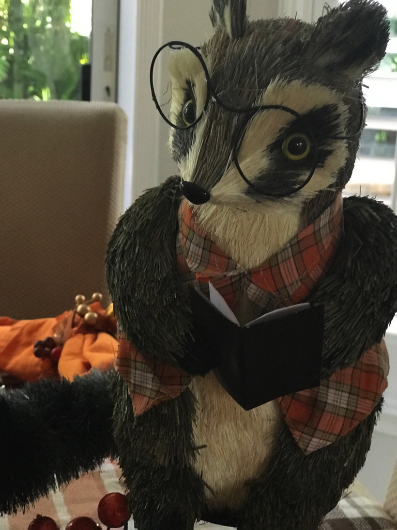 reading raccoons