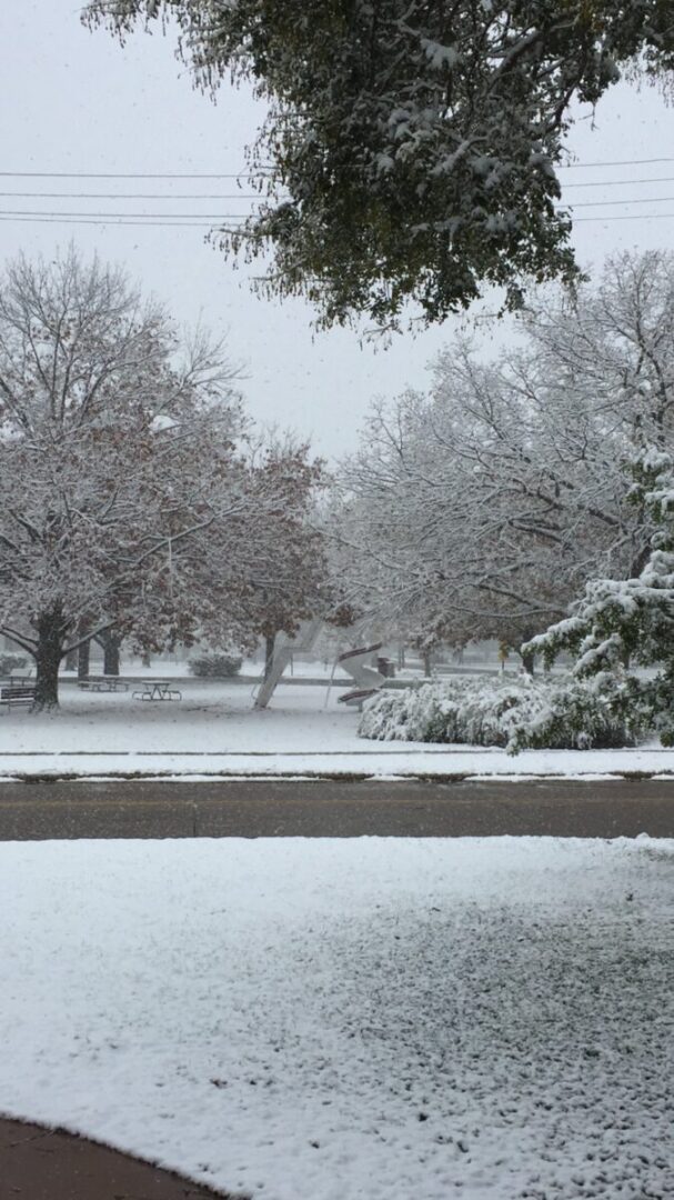 snow