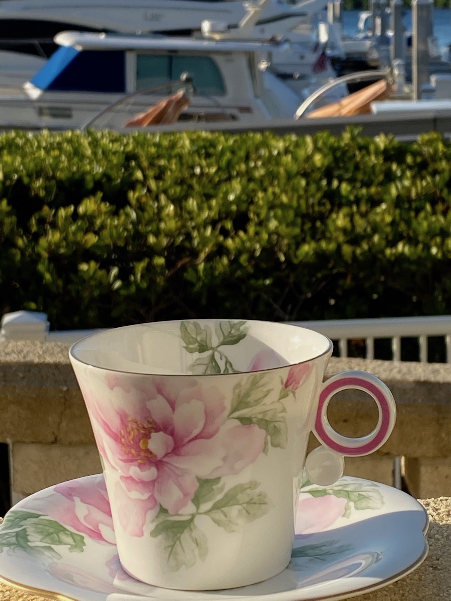 Traveling teacup at Marina on the Gulf of Mexico