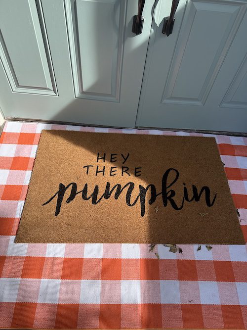 pumpkin related jute entry rugs