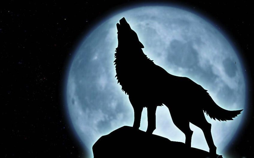 ghosts wolf and the moon