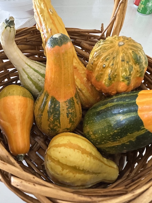 October’s Bits & Bobs Box!